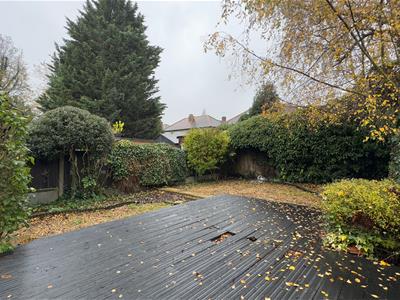 Picture 25